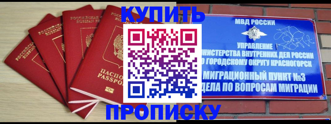 пропишу в квартире в Новозыбкове